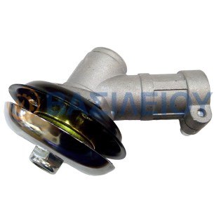 evasiliougr goniaki thamnokoptikon